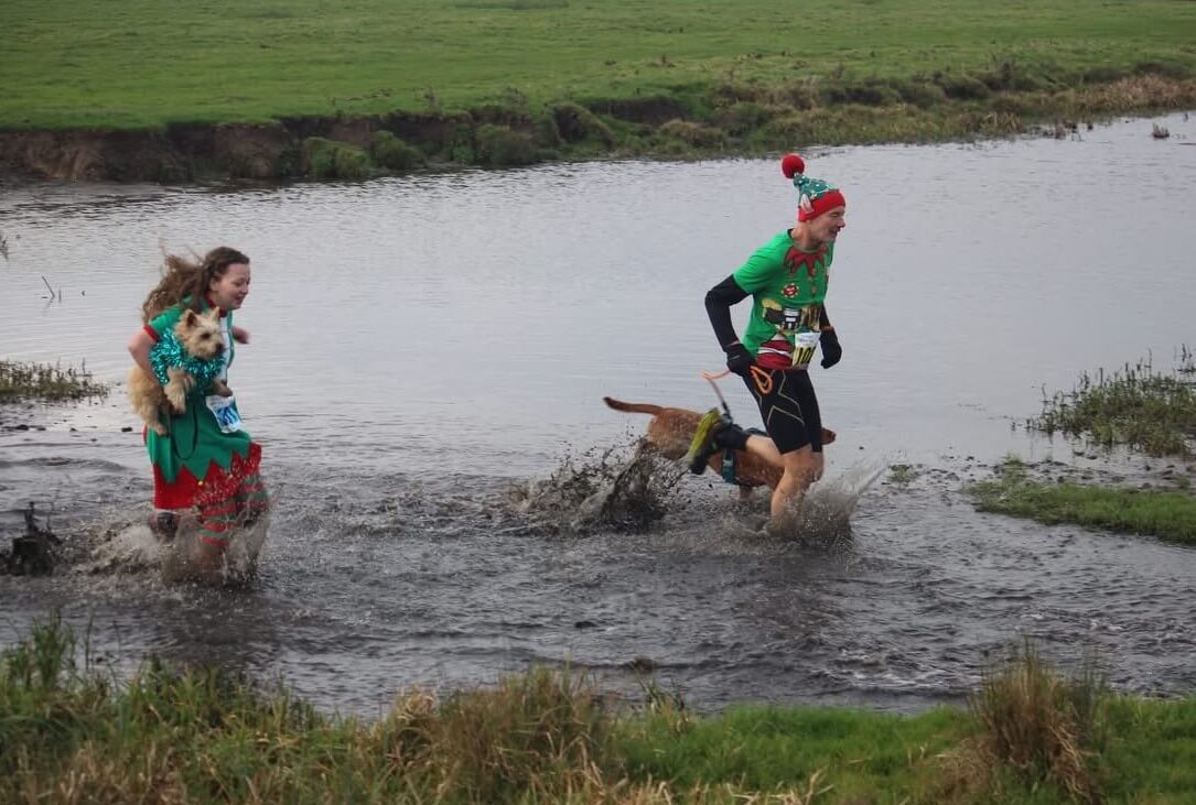 Two runners in Christmas fancy dress, with dogs running through water